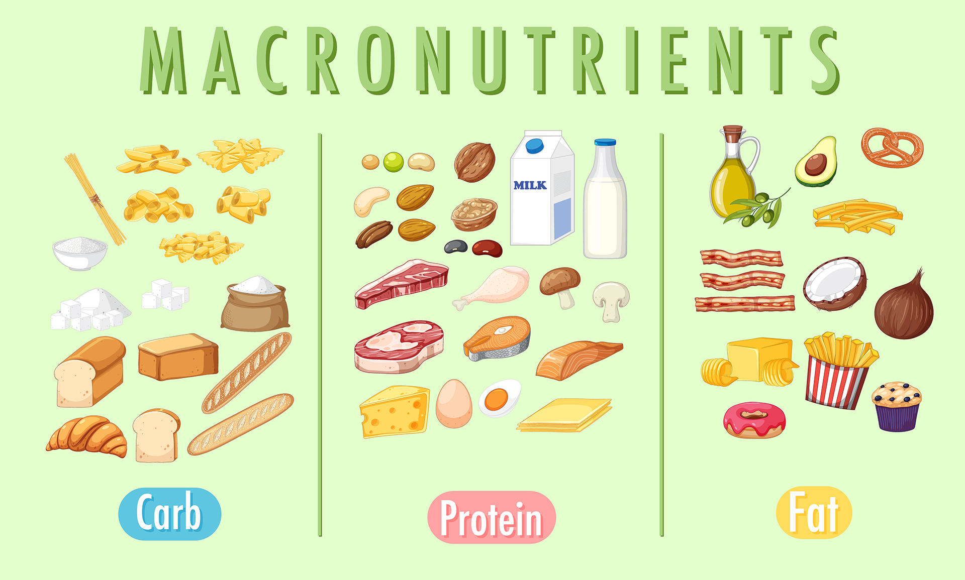 Understanding Macros: The 3 Pillars of Nutrition - Strength Harmony